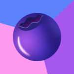 Blueberry VPN