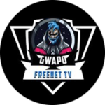 Gwapo VPN